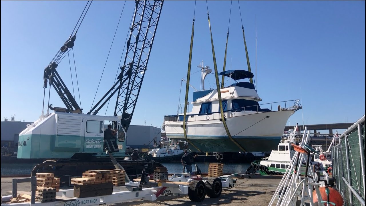 2020 Haul and Survey