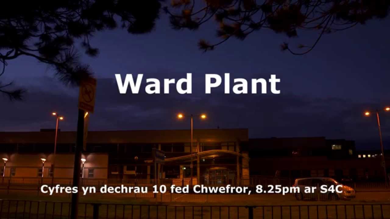 Ward Plant yn Dechrau 10fed o Chwefror, 8.25pm ar S4C