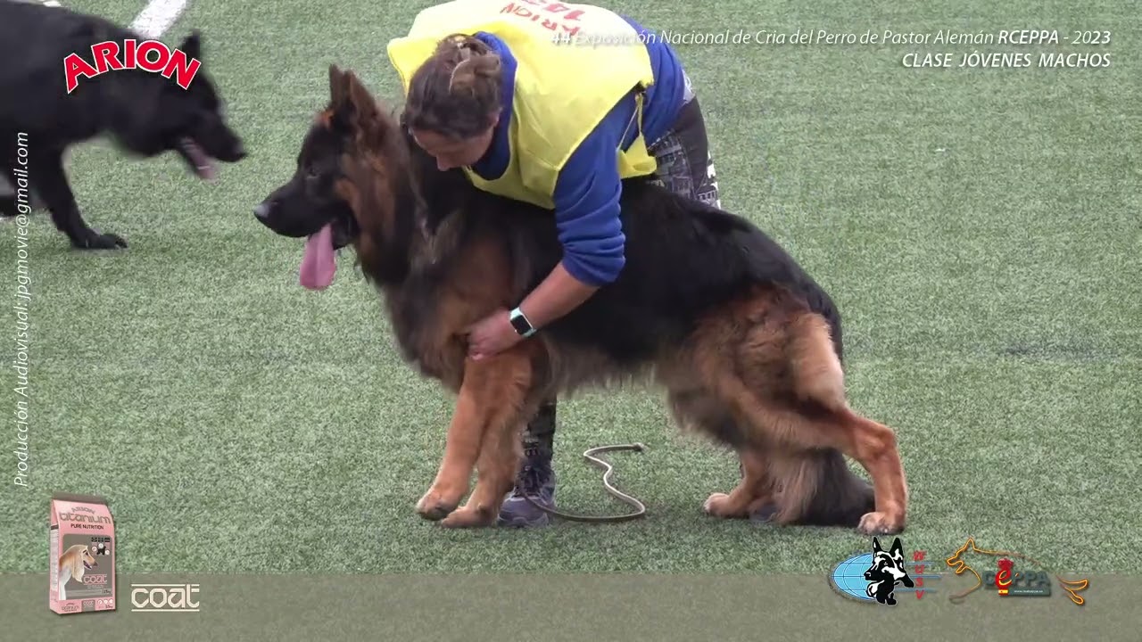 RCEPPA Siegerschau 2023 Domingo Vídeo 2 de 7