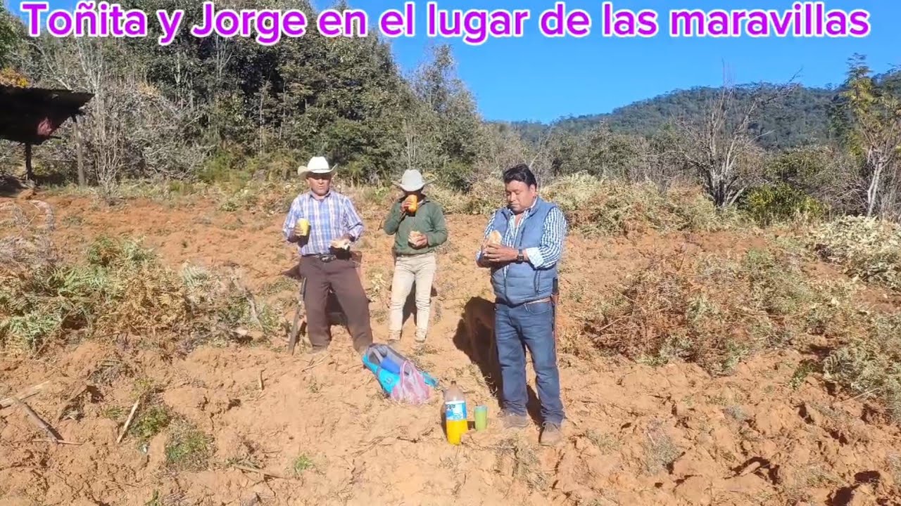 ✅️😃Con mucho gusto fuí a sorprender a mi papá llevando ricas tortas para comer con él en el campo 