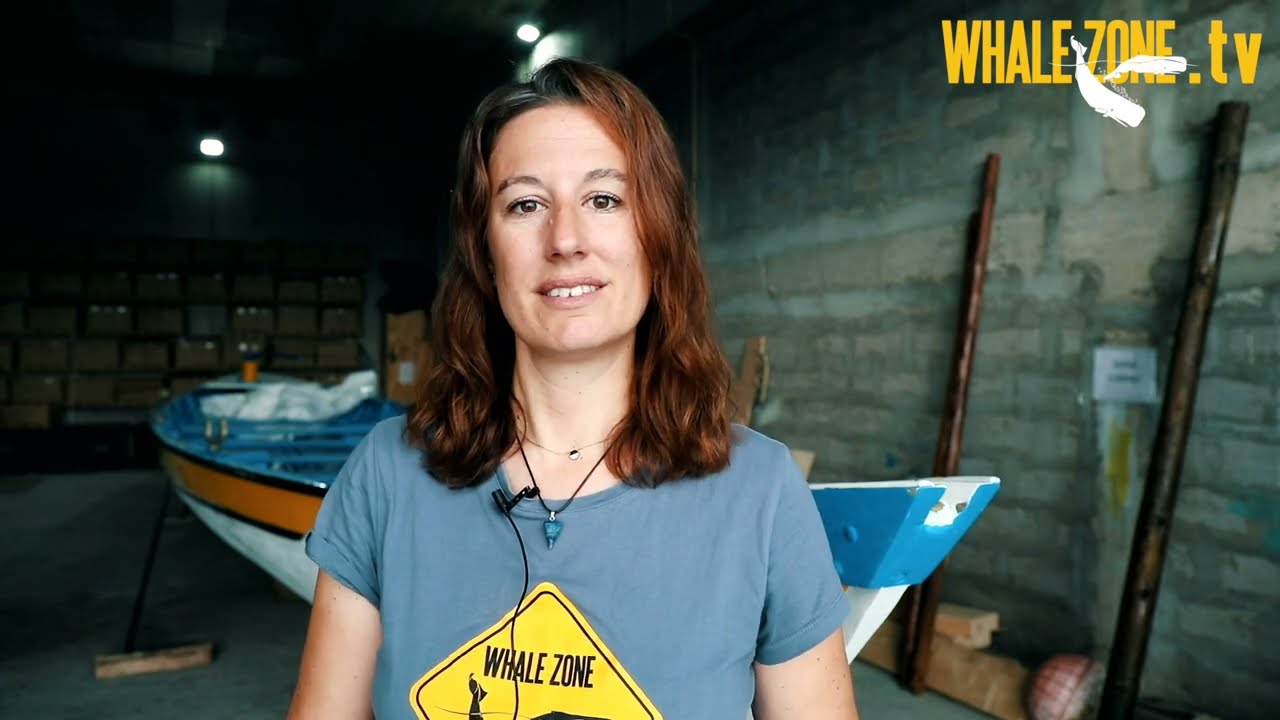 How do Whales and Dolphins Breathe Underwater? | WHALEZONE.TV S4E8