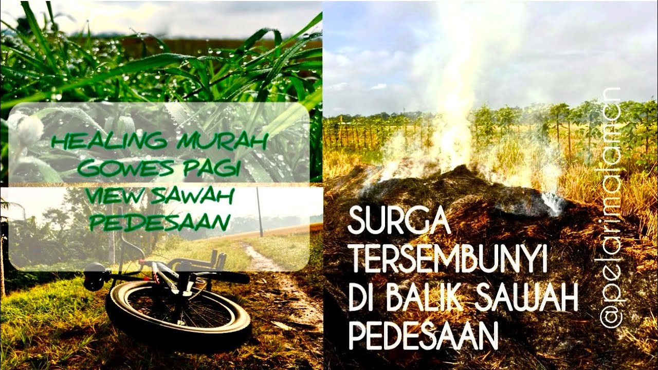 SURGA TERSEMBUNYI, di balik sawah pedesaan #sawah #nature #ricefield #gowespagi #panenpadi #pedesaan