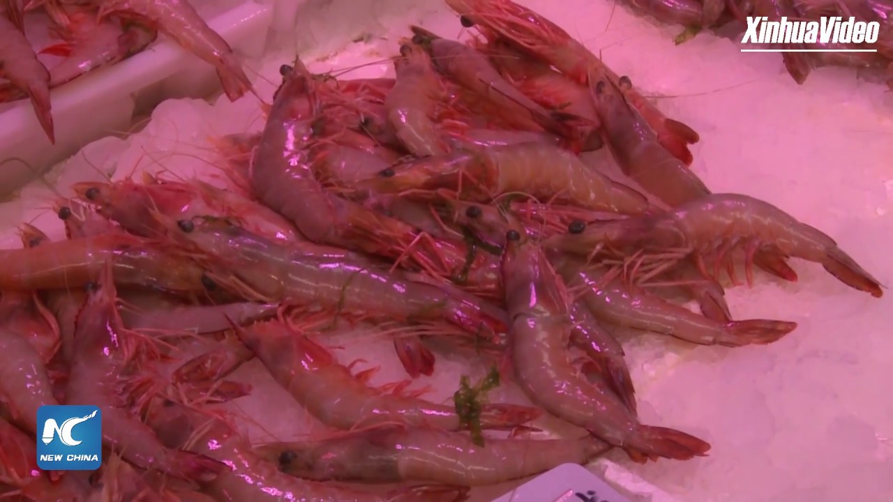 Live from largest retail seafood market in Qingdao