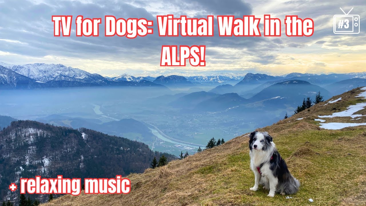 4K Dog TV: Dog POV Mountain Walk, Enhanced Color for Dog Vision, Anti-Anxiety RELAXING MUSIC