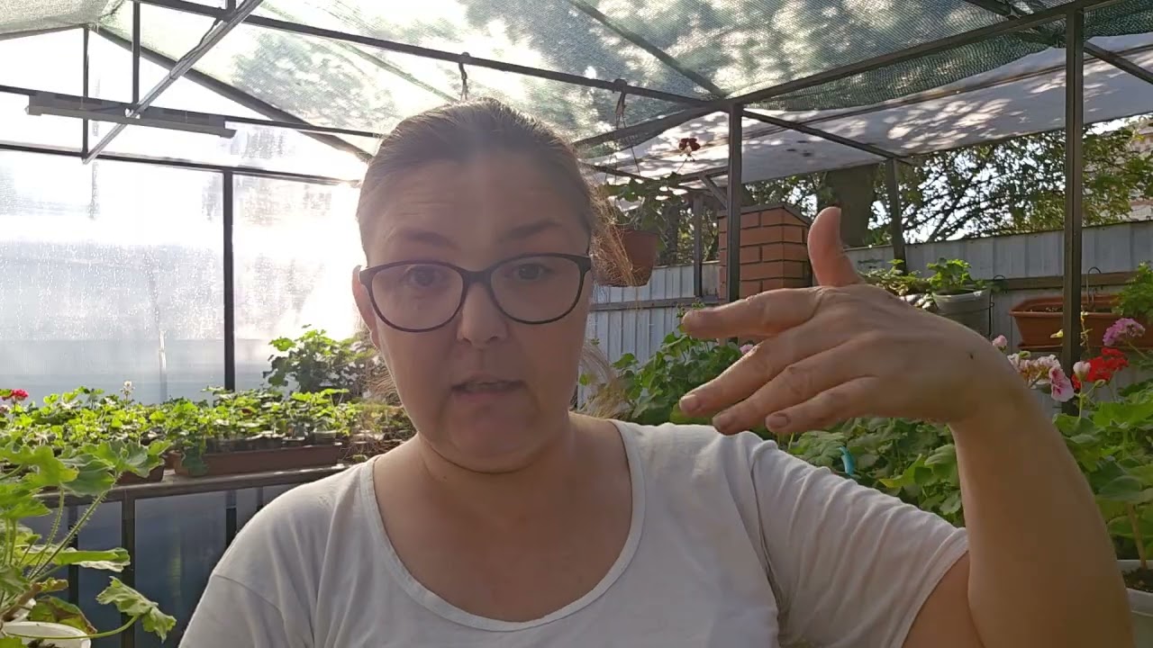 Увидели ребёнка одного на улице ?Ваши действия !Аутизм 