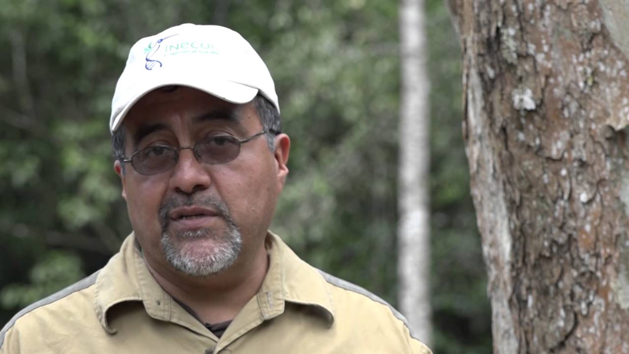 INECOL: Recorridos al Santuario Bosque de Niebla