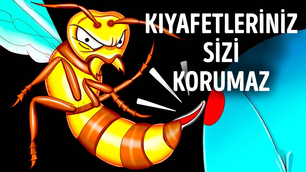 Asya Dev Eşek Arısı Sizi Soktuğunda Neler Olur?