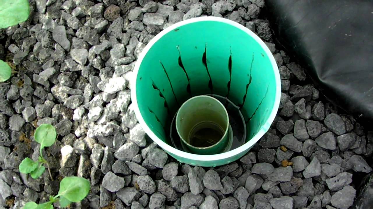 Hawaiian Aquaponics DWC plus flood and drain pawa ohana