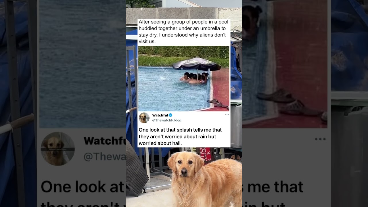 Getting wet is the least of their worries