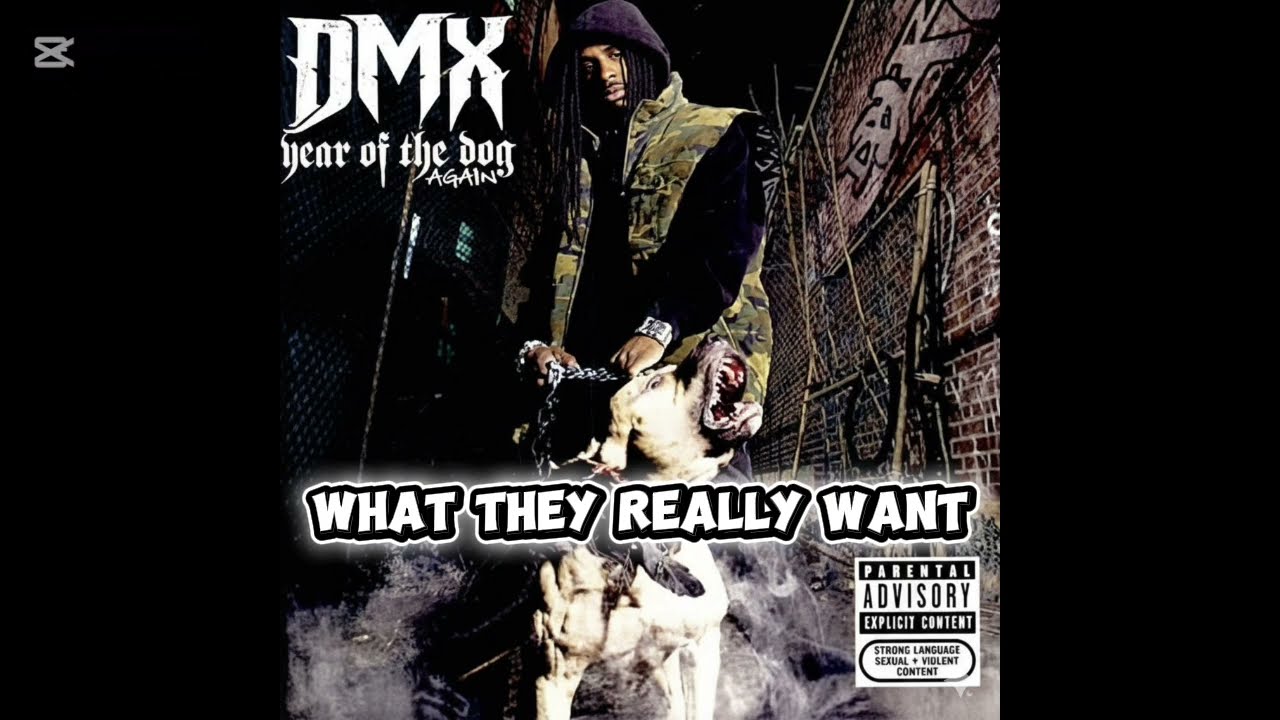 Dmx - What These Bitches Want | What They Really Want Afrobeat Version