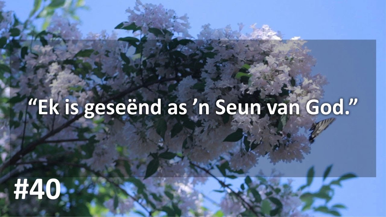 Les 40 &ndash; A Course in Miracles (Afrikaans) | Hemelbewus