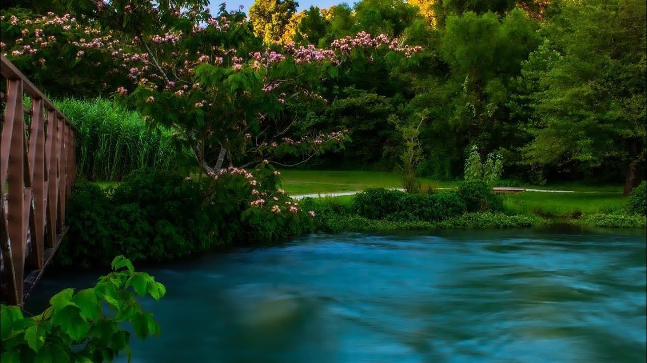 Spring River ~ Mammoth Springs, AR.
