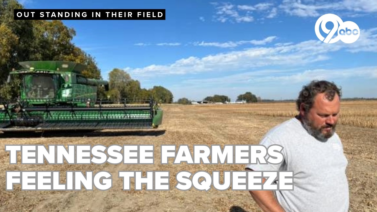 Tennessee farmers squeezed by weather, costs, market shifts, agriculture commissioner says