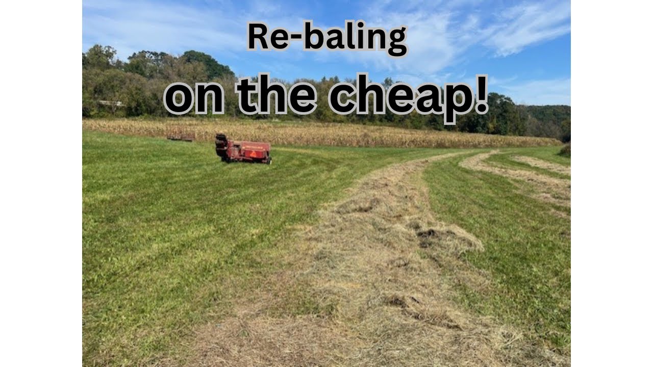 Re-bale on the cheap! Turning big rounds into small squares
