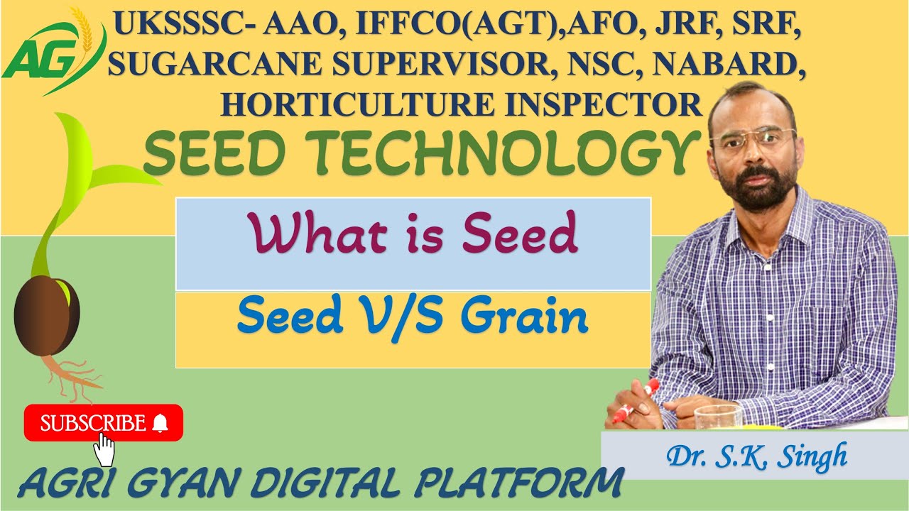 What is Seed ?                              Seed V/S Grains