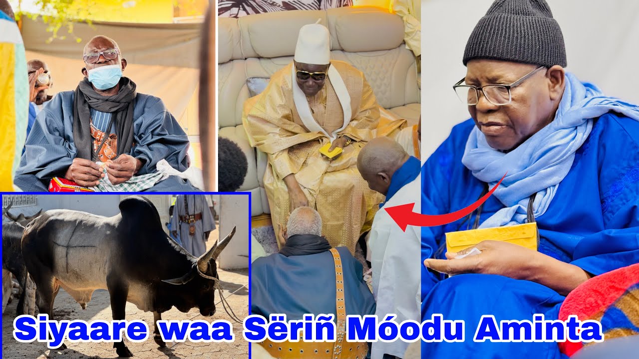 Màggal kasu rajab 2026 Siyaar Wakër Sëriñ Móodu Aminta Faal Ci Sëriñ Abóo Mbàaké Fàlilu