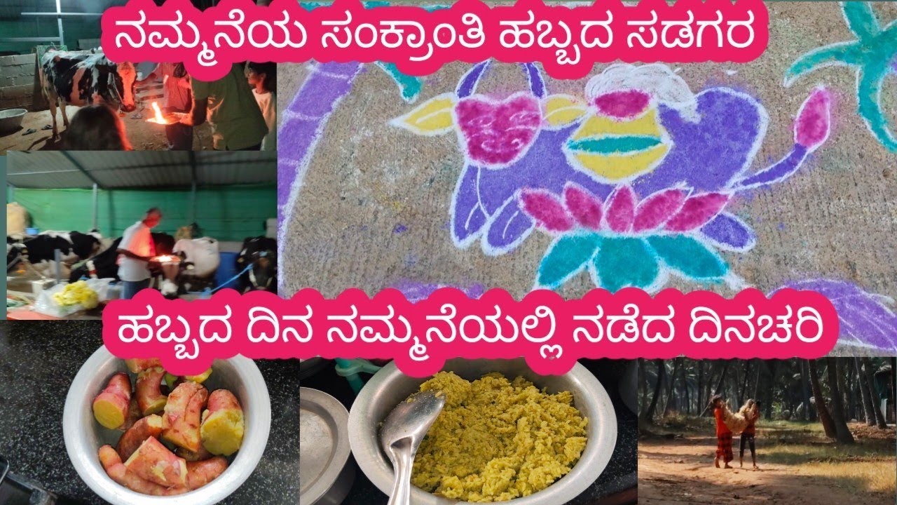 ನಮ್ಮನೆ ಸಂಕ್ರಾಂತಿ ಹಬ್ಬದ ಸಡಗರ 🥰# Mayuri Anita cooking lifestyle 