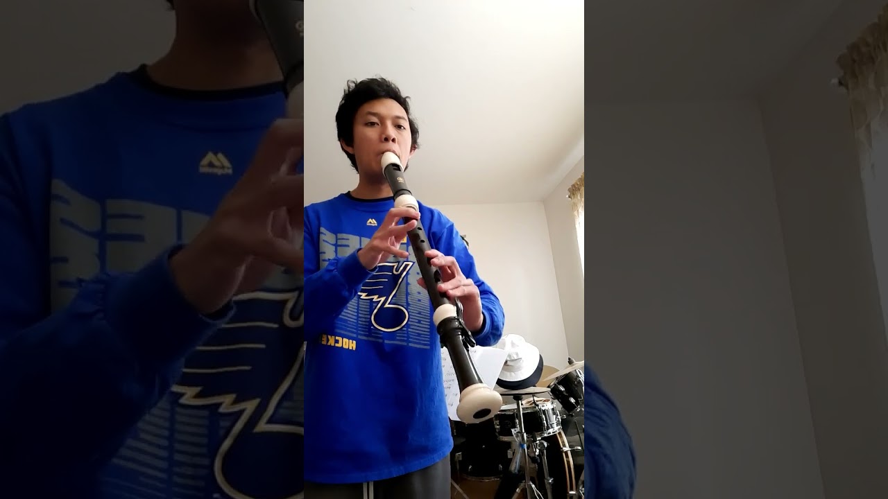 Bach - Bouree in E minor excerpt on Tenor Recorder