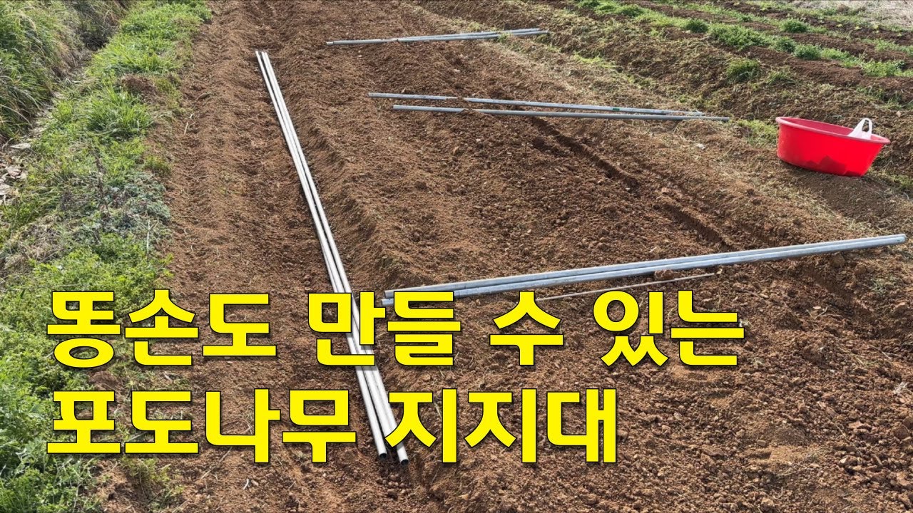 똥손도 만들 수 있는 포도나무 지지대