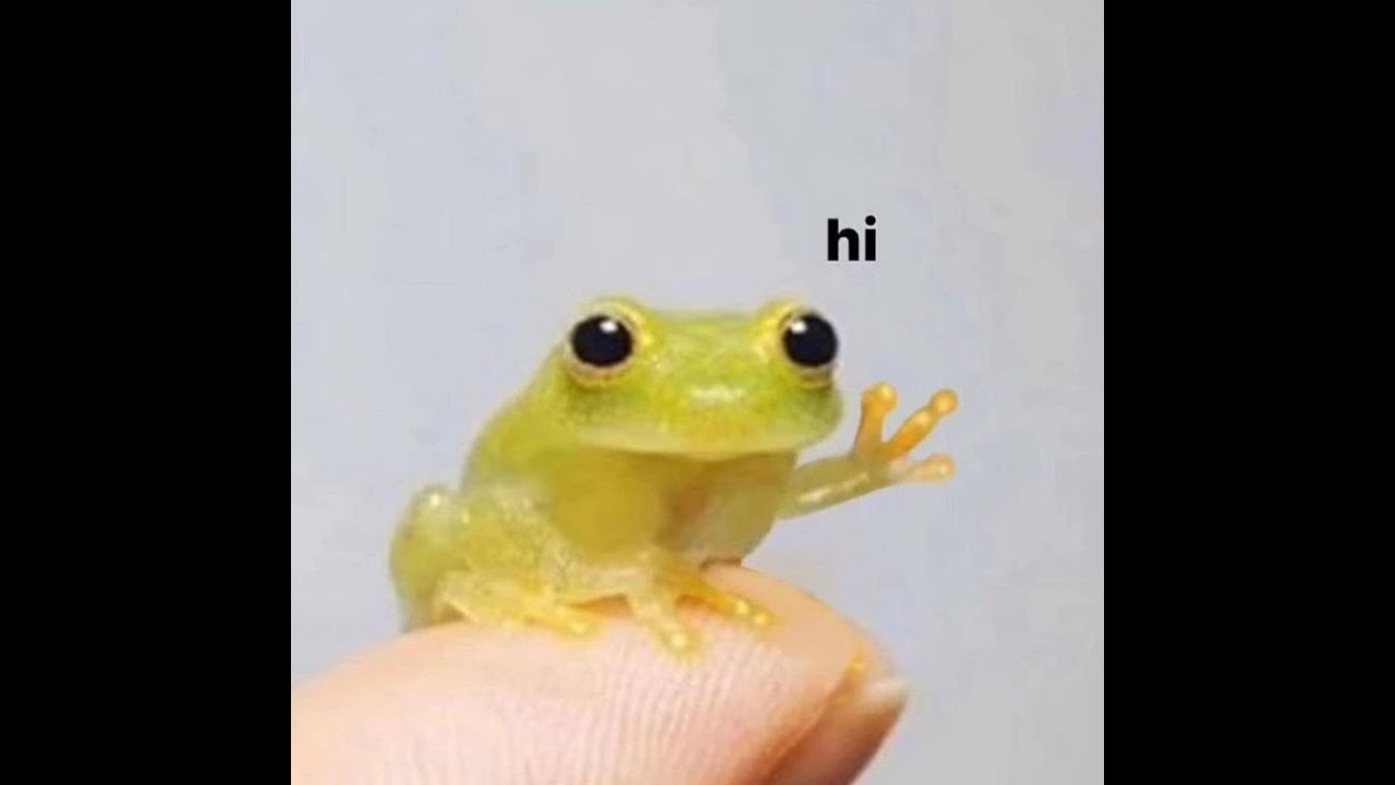 21년생 레디언트 정점 매드무비