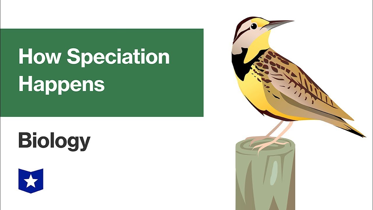 How Speciation Happens | Biology