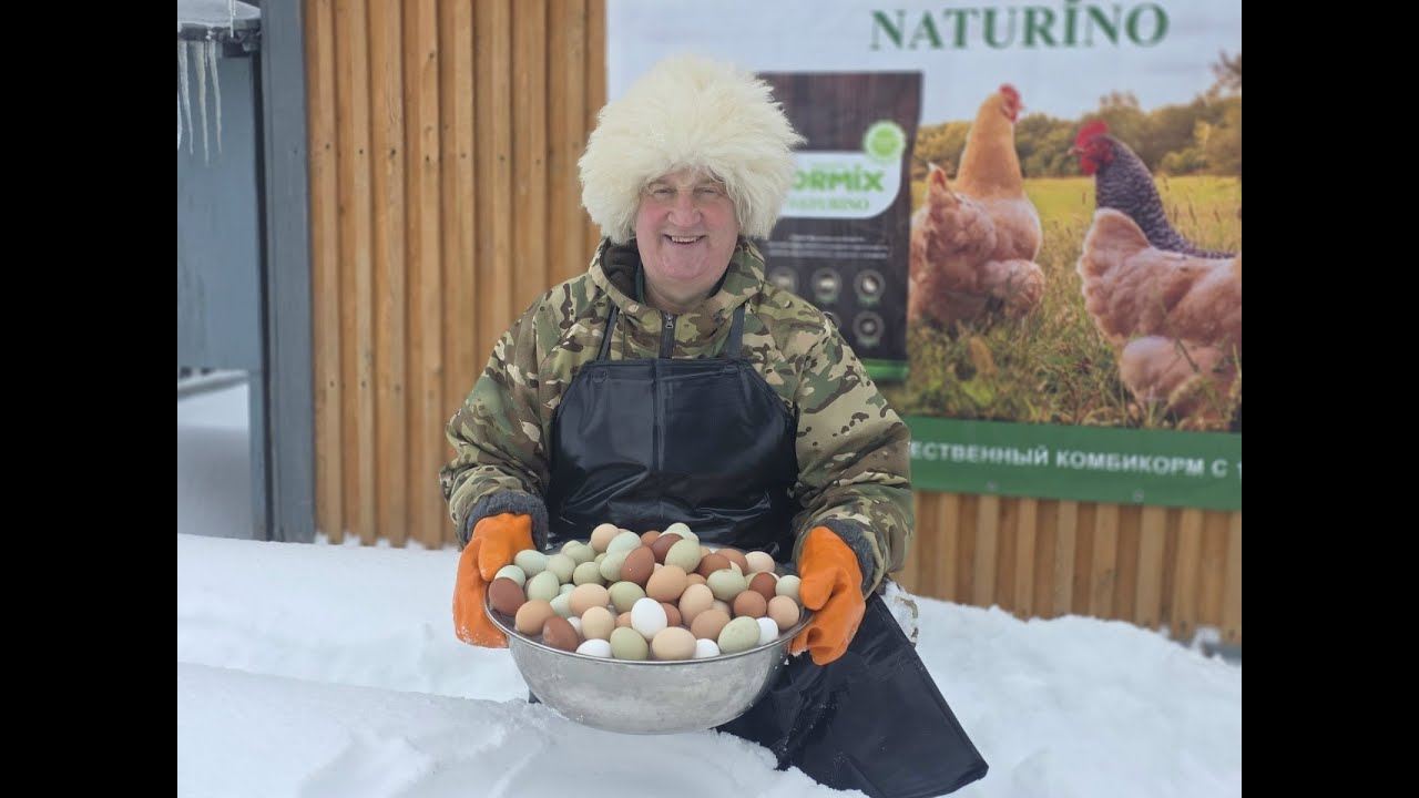 БЕЗ ЭТОГО ЯИЦ ОТ КУР ТЫ НЕ УВИДИШЬ! ДЕД ЧТП 16.01.2026 ГОД.