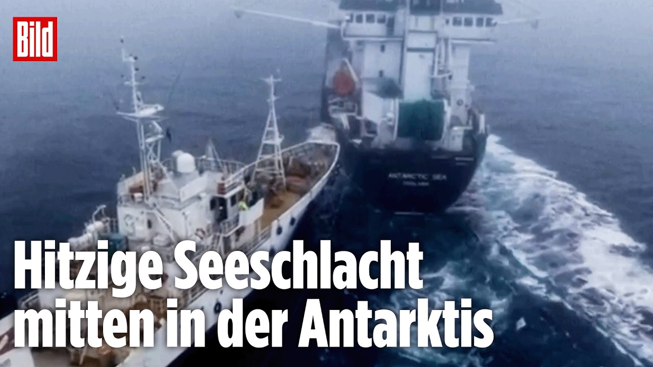 Ausnahmezustand in der Antarktis: Aktivisten rammen Fischerboot
