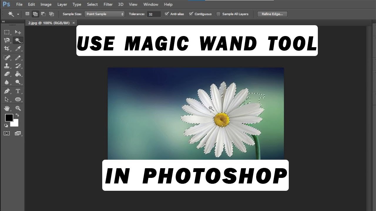 How to use the magic wand tool in Photoshop (Solved)