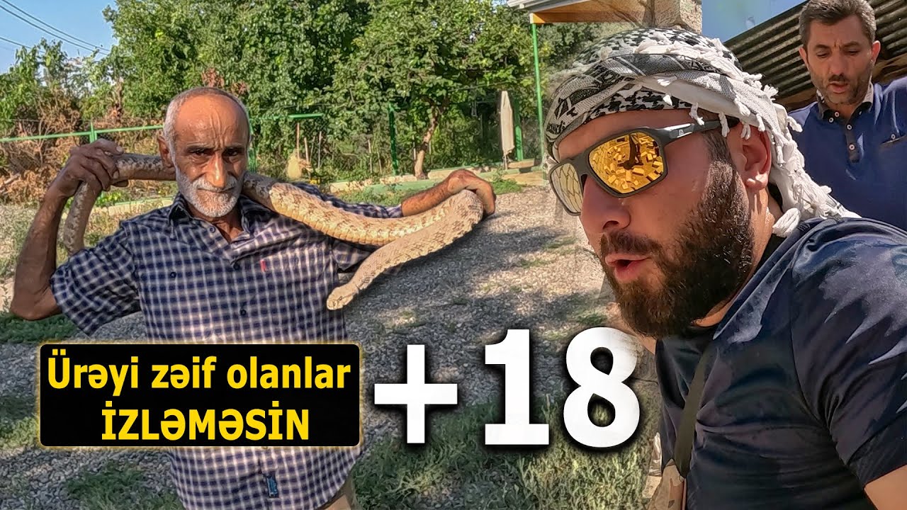 Ağdam - İLANLARI ƏLLƏRİ İLƏ TUTAN ADAM