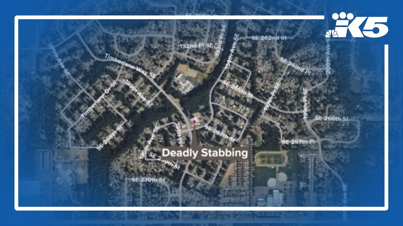 Detectives investigating deadly stabbing in Covington