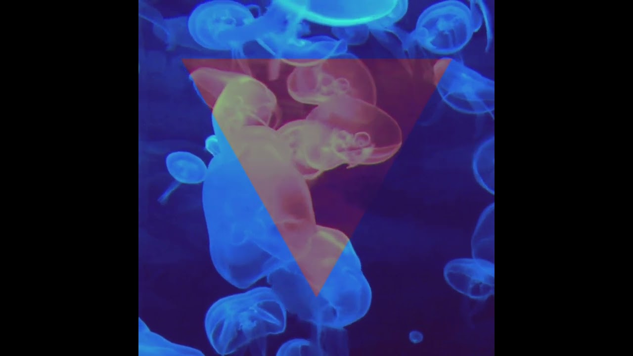 @musicweeklies #JellyfishJungle