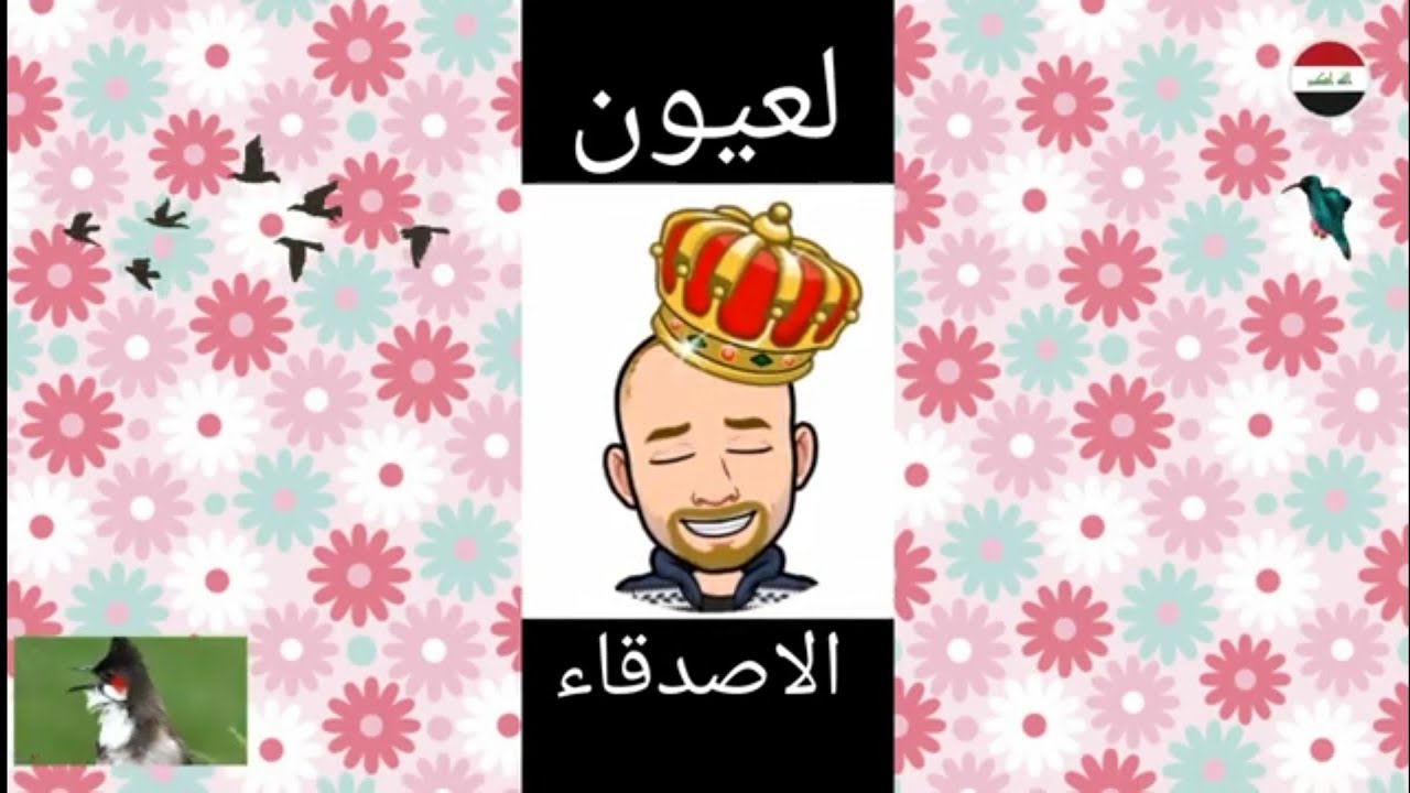 أول فرخ بلبل لهذا العام لعيونكم يالطيبين