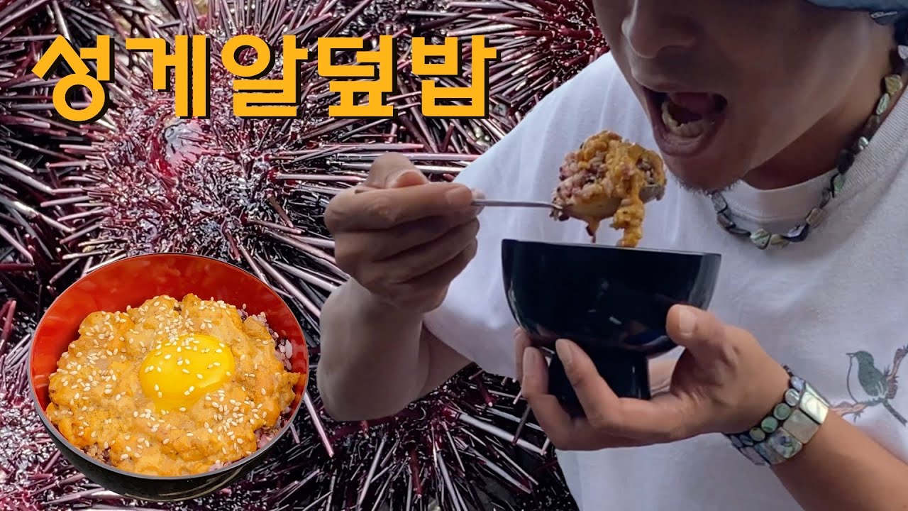 싱싱한 제 철 보라성게 잡아서 성게알 덮밥으로 한 끼 해결
