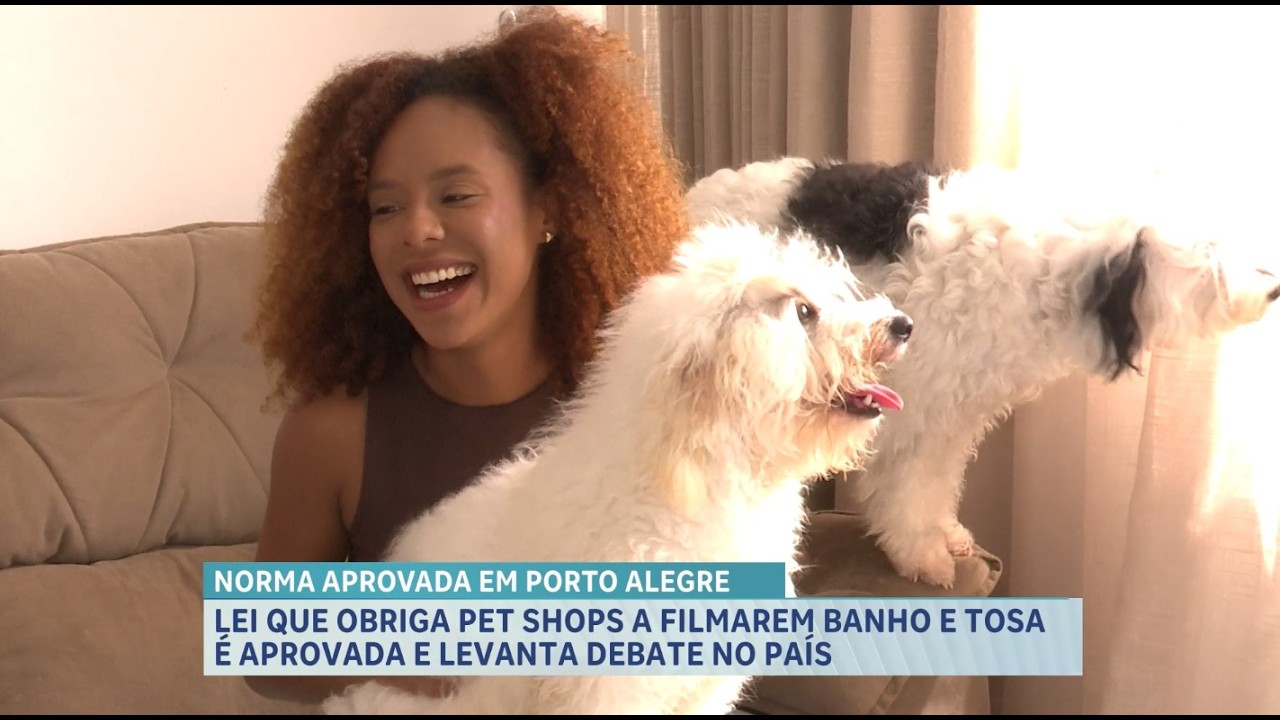 Lei obriga pet shops a filmarem banho e tosa entra em vigor e gera debate entre tutores no Maranhão