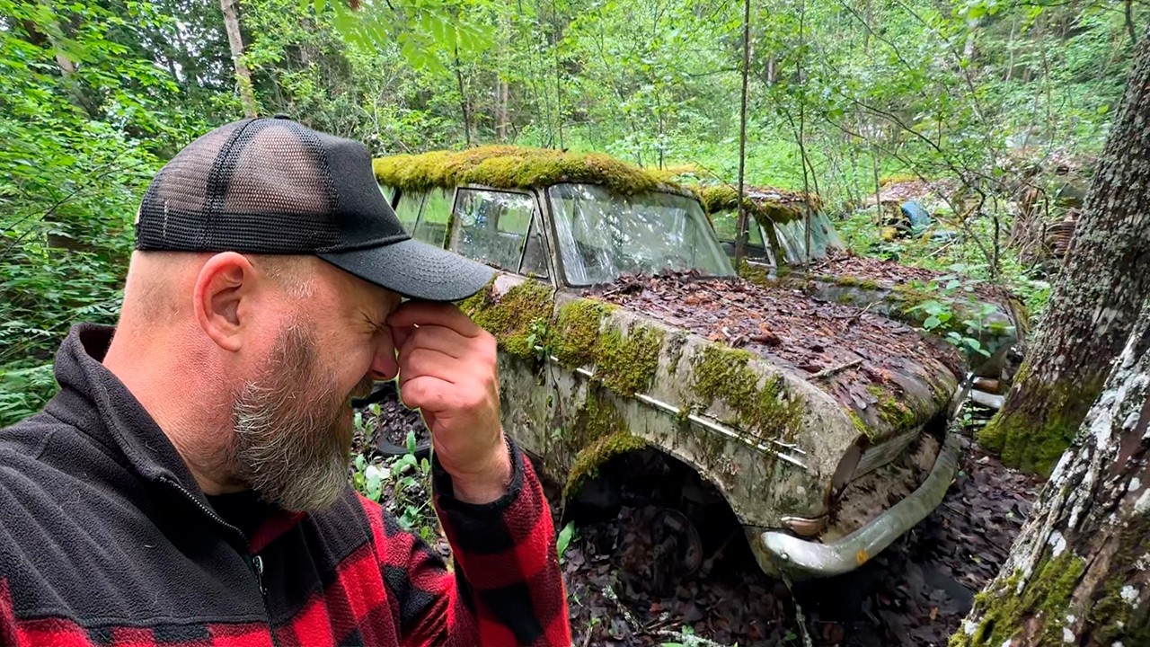Lonelyurbanex & Sammaleen peittämät metsäautot