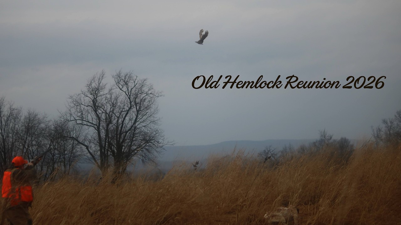 20260304 Old Hemlock Reunion