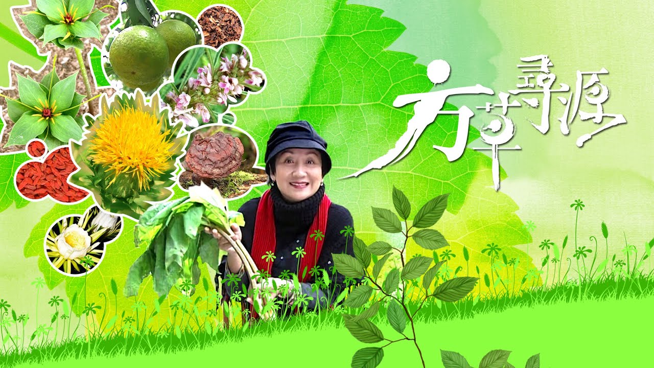 《方草尋源》第一輯 第一集：青春不老 | 鮑起靜、江美儀 | Adventure For The Herbal Medicine I EP01 | ATV