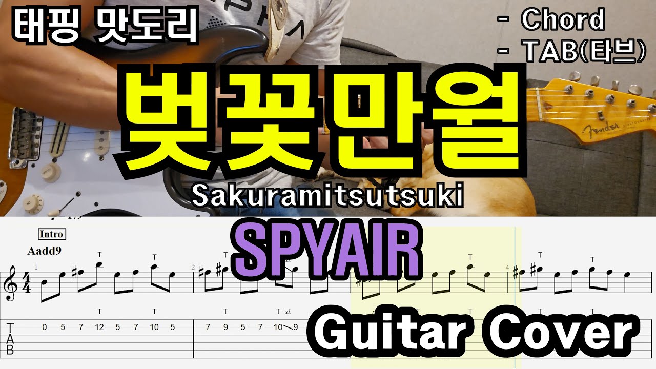 1달 뒤에 이 곡 연주하면서 봄맞이. 은혼 오프닝「Guitar Cover」 SPYAIR - Sakura mitsutsuki(벚꽃만월)/TAB /타브악보/코드/기타악보/기타프로/