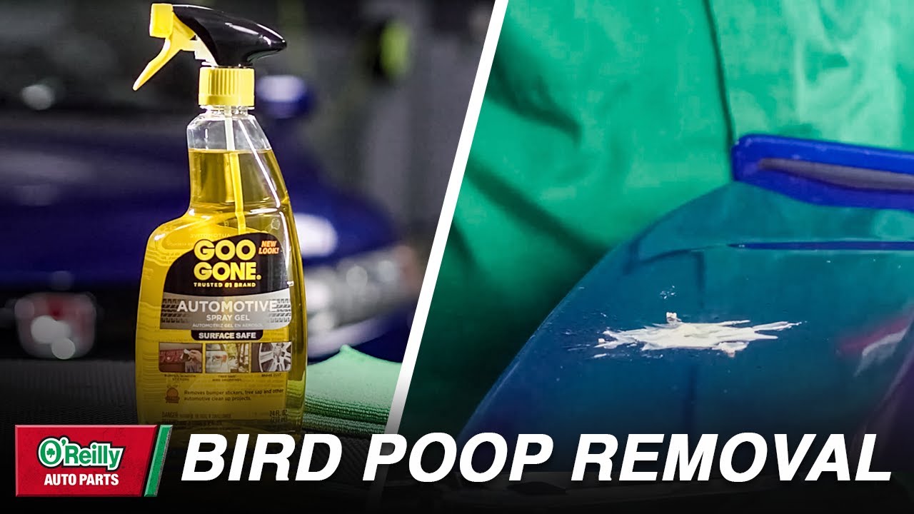 How To: Remove Bird Poop From Car Paint