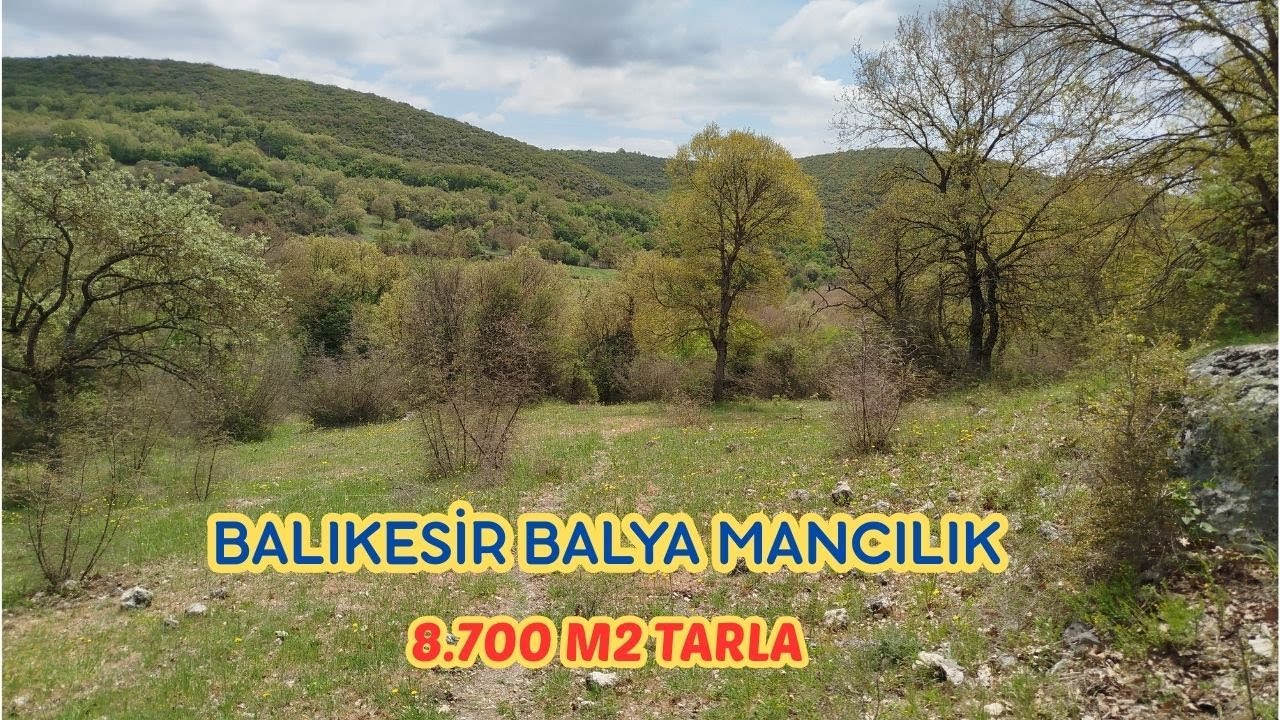 BALIKESİR BALYA MANCILIK 8.700 M2 SATILIK TARLA YAKININDA DERE SUYU MEVCUT FİYAT 830.000 TL