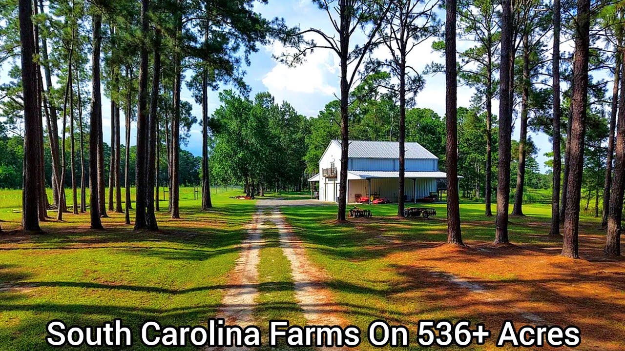 South Carolina Farmhouse For Sale | 536+ Acres | South Carolina Land For Sale|Waterfowl Hunting Land