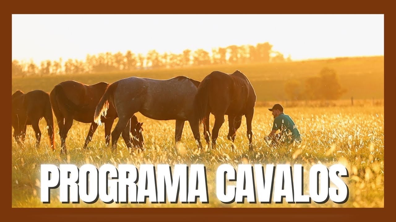 PROGRAMA CAVALOS -20/05/2023