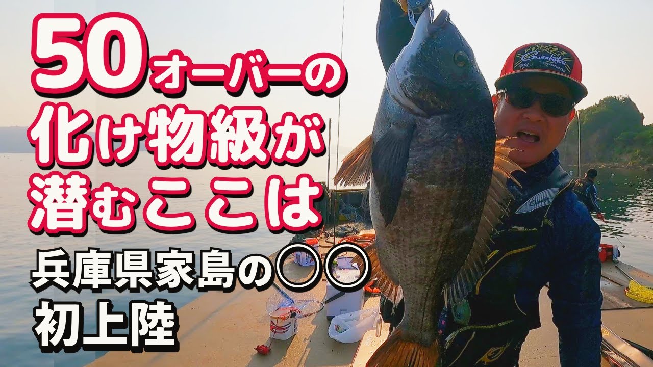 解禁磯で巨チヌ降臨！