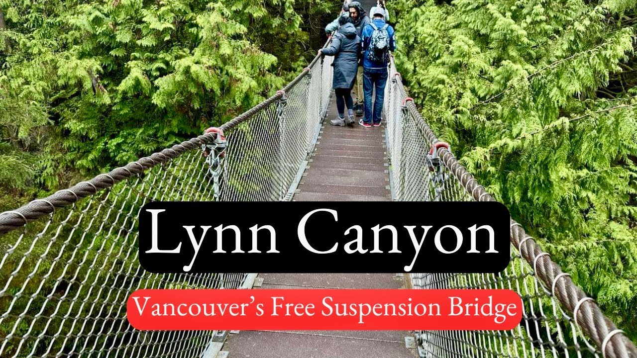 A visit to Lynn Canyon Suspension bridge. It's definitely worth visiting and it's free!