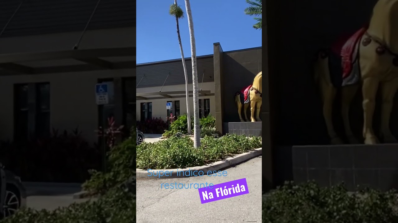 Ja almocou hoje? Dica de restaurante top na Fl&oacute;rida 🤩🇺🇸