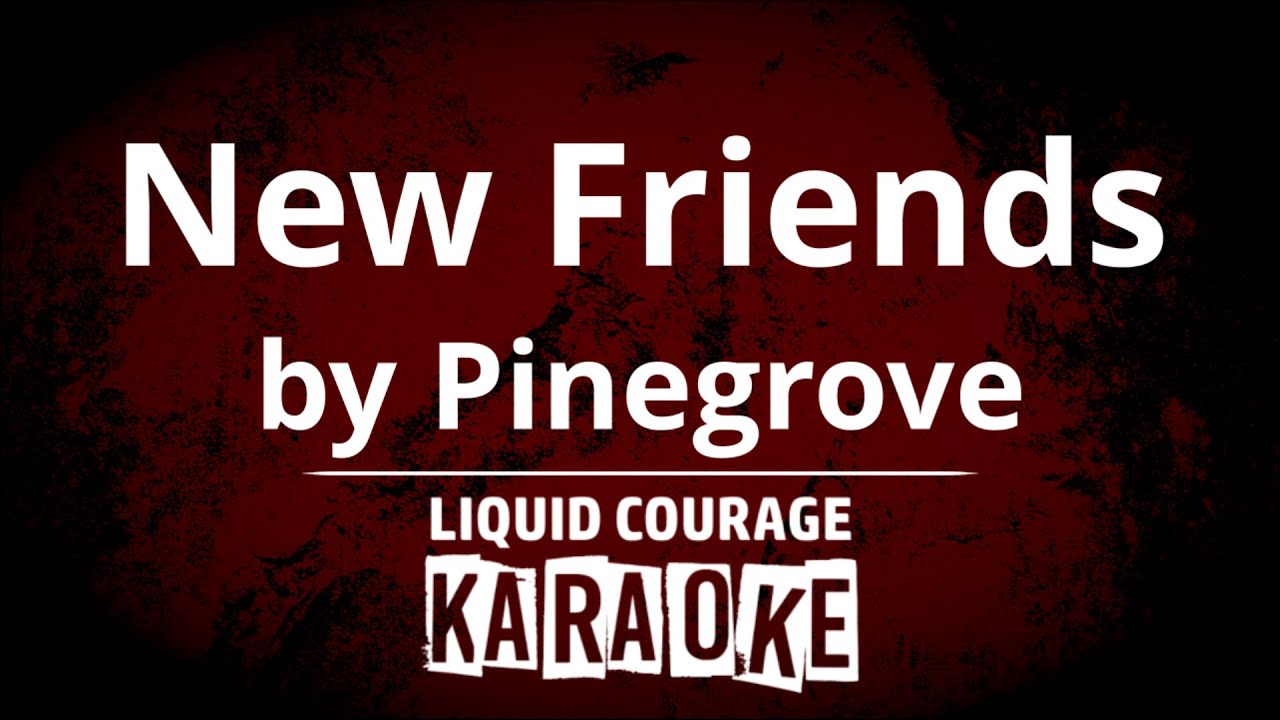 Pinegrove - New Friends [KARAOKE]
