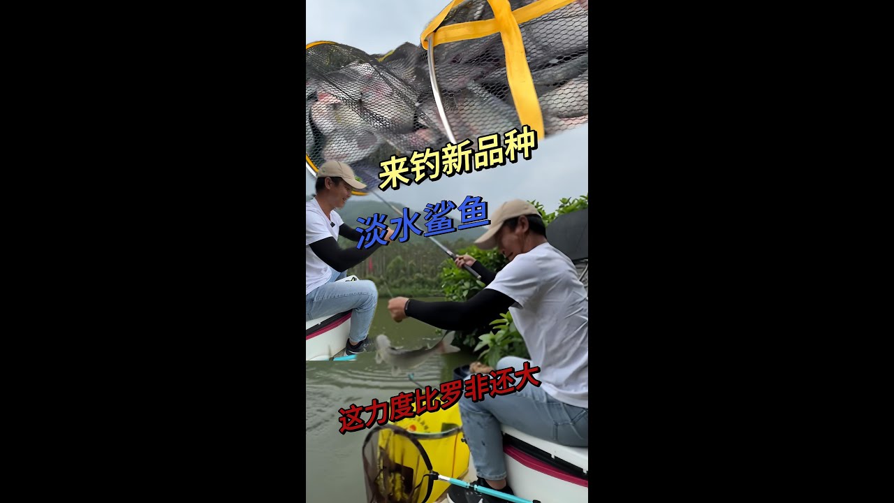 窝刚打下去，1.5的碳线直接被秒切了！#钓鱼 #钓鱼人 #钓鱼技巧