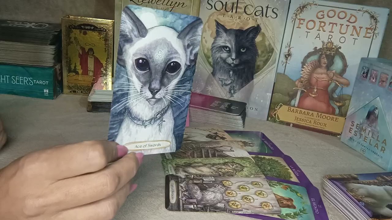 ESCORPIO ♏ MIRA QUE HARÁ TU PERSONA ESPECIAL ‼️ ALGUIEN TE OFRECE ESTABILIDAD ❤️‍🔥 TU ÉXITO 💰 LLEGÓ 