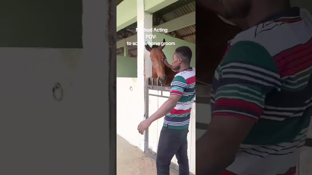 rehearsing how to keep a horse clean as the horse grooms do. training my acting capability