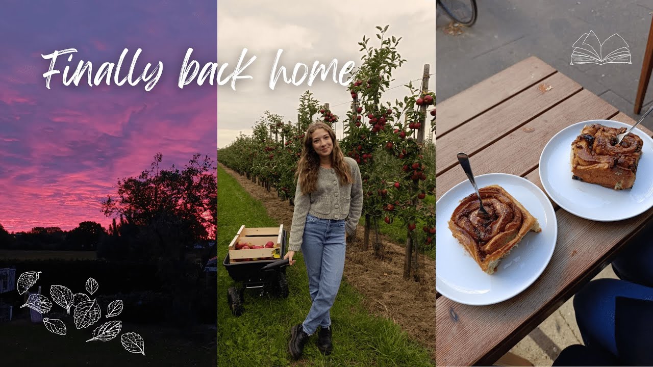 Zurück Zuhause | Eine herbstliche Woche 🍂🍁 